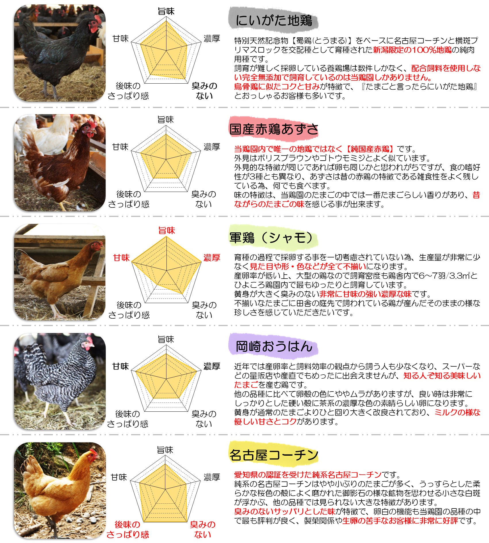 【あずさと四種の地鶏詰め合わせ】あじわいたまごセット (にいがた地鶏・あずさ・軍鶏・岡崎おうはん・名古屋コーチン) 各２個・計10個