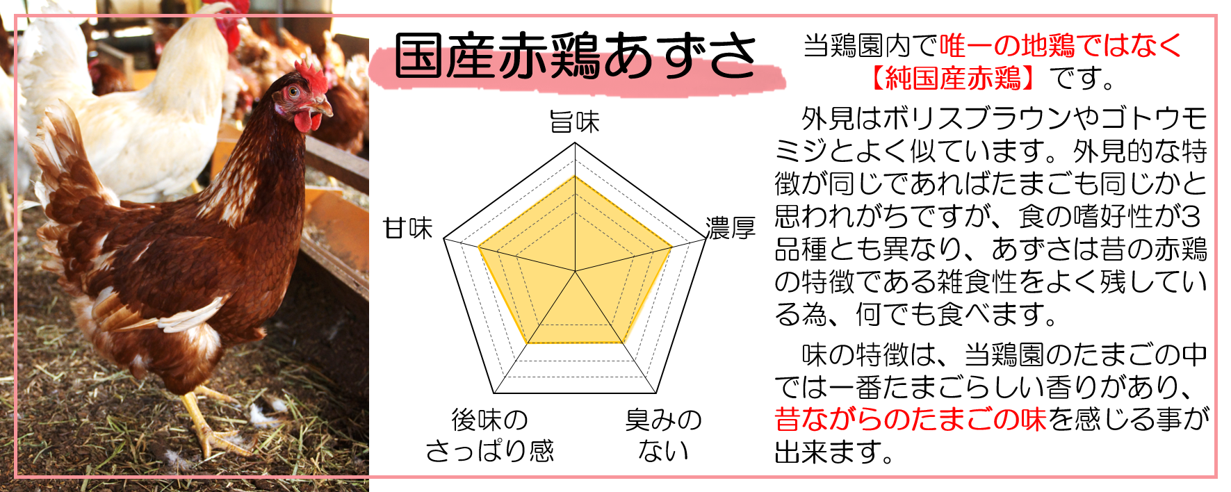 あずさ説明画像