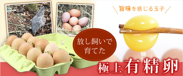 五頭山麓ひよころ鶏園