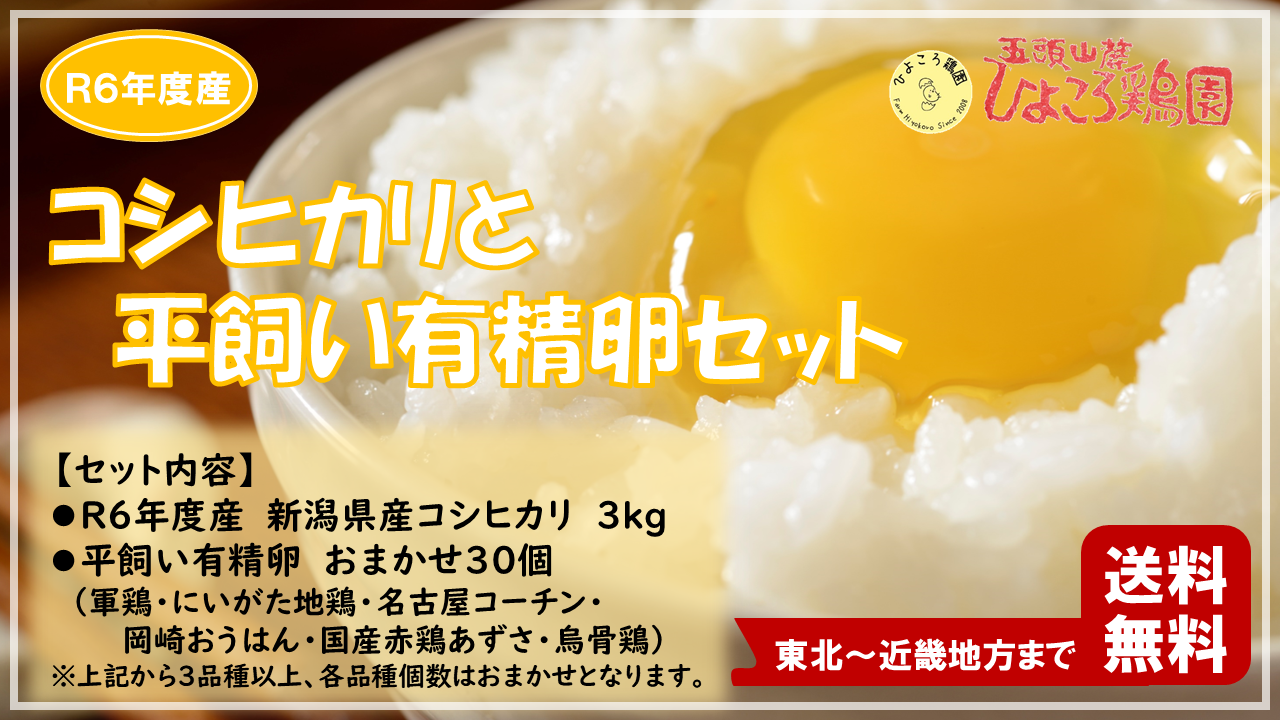 R6ヒカリバナー