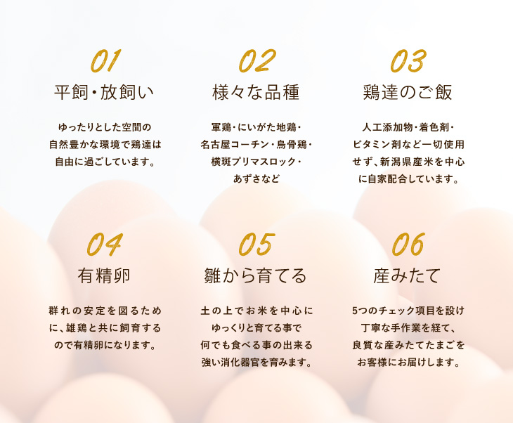 【あずさと四種の地鶏詰め合わせ】あじわいたまごセット (にいがた地鶏・あずさ・軍鶏・岡崎おうはん・名古屋コーチン) 各２個・計10個