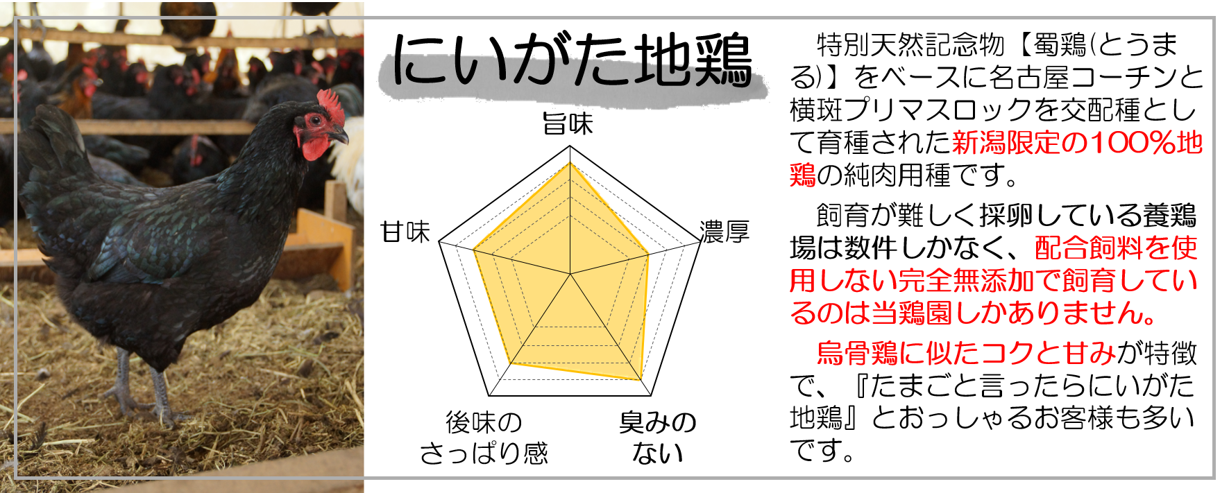 にいがた説明画像